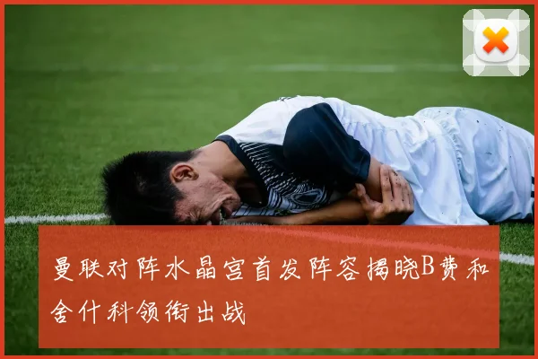 曼联对阵水晶宫首发阵容揭晓B费和舍什科领衔出战