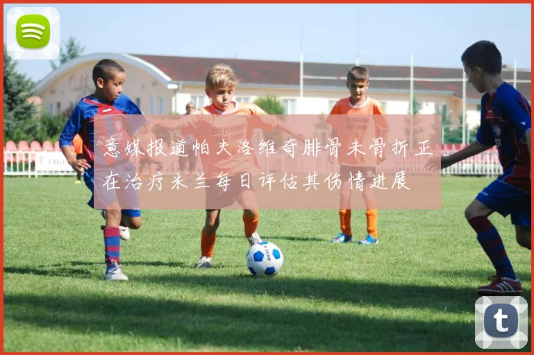 意媒报道帕夫洛维奇腓骨未骨折正在治疗米兰每日评估其伤情进展